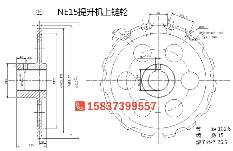 NE15斗式提升機(jī)上鏈輪圖紙尺寸